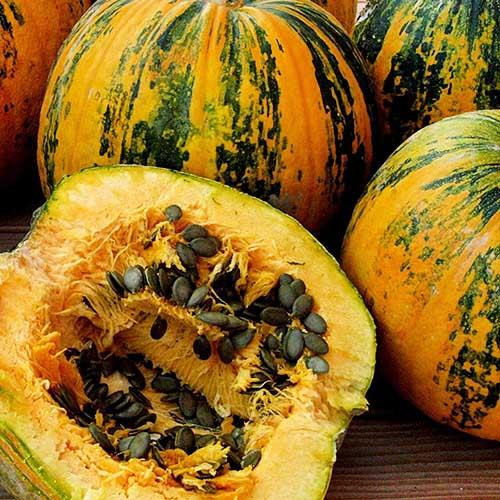 Семена Гарбуз Florium Нейкедсід (10725)