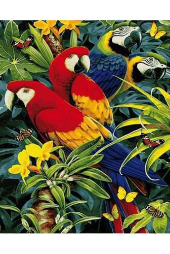 Картина по номерам Mariposa Четыре попугая 40x50 см (Q2122)