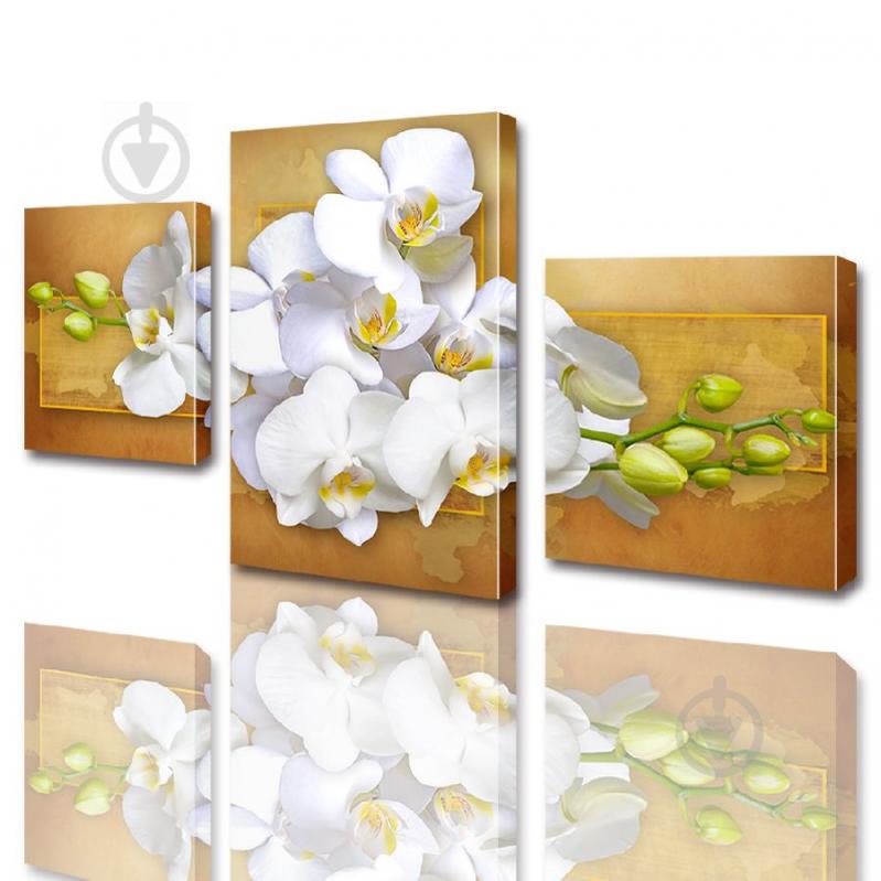 Модульная картина ArtStar цветы Белая Орхидея ADFL0008 размер 45 х 70 см