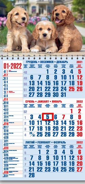 Календарь настенный квартальный МАРКО на 2022 год офисный 1 Щенята (офіс1-15 2022)