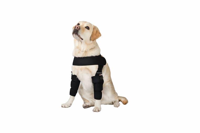 Бандаж для собак Frakishtak поддержка локтевого сустава на обе лапы S Черный (28436752) - фото 2 Бандаж для собак Frakishtak поддержка локтевого сустава на обе лапы S Черный (28436752) - фото 2