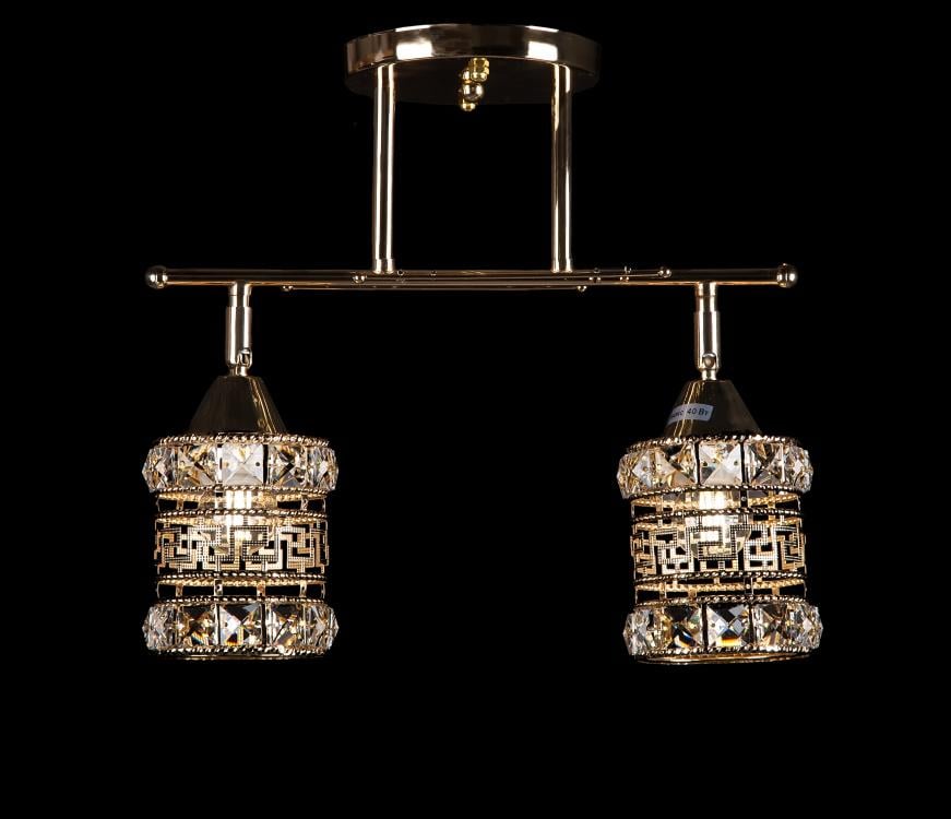 Люстра с плафонами Ray LK2100/2 FGD (IR006043)