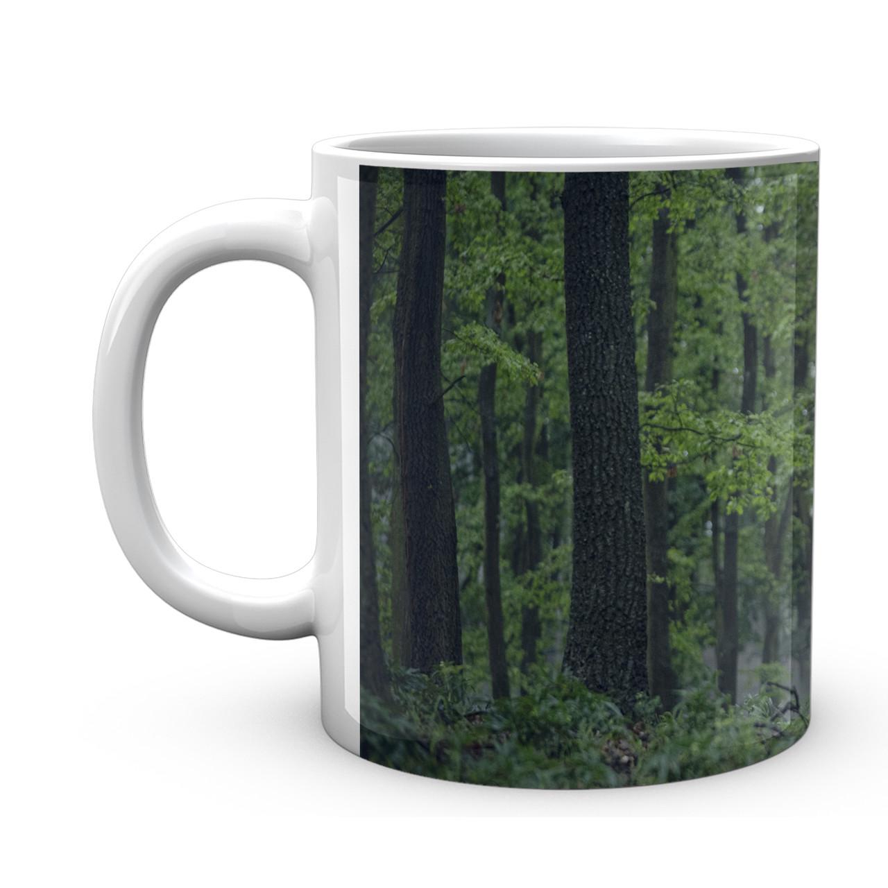 Чашка Geekland The Witcher Геральт Цири 330 мл (TW 002.013)