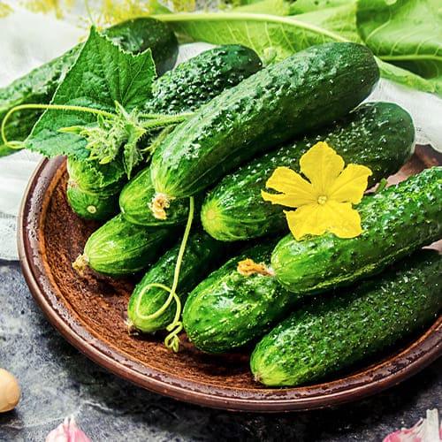 Семена Огірок Florium Оптимус F1 (10724)