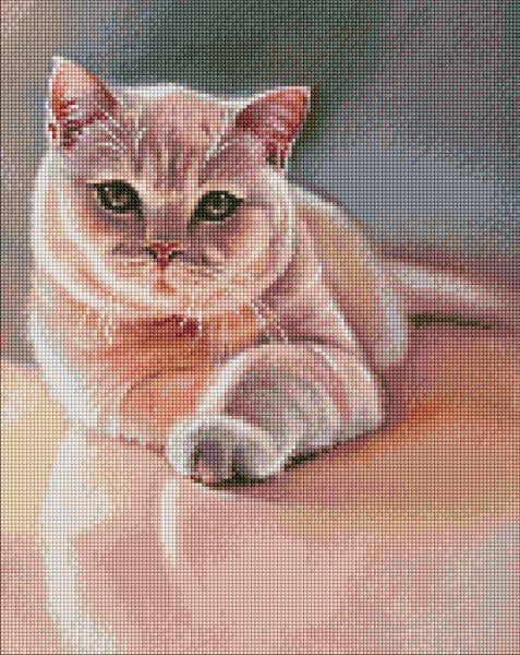 Алмазная мозаика на подрамнике Идейка Любимый пушистик 40x50 см (Id-AMO7530)