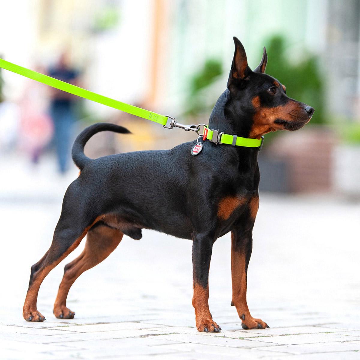 Ошейник для собак водостойкий Waudog Waterproof с QR паспортом металлическая пряжка-фастекс 34-49 см L Салатовый - фото 7 Ошейник для собак водостойкий Waudog Waterproof с QR паспортом металлическая пряжка-фастекс 34-49 см L Салатовый - фото 7