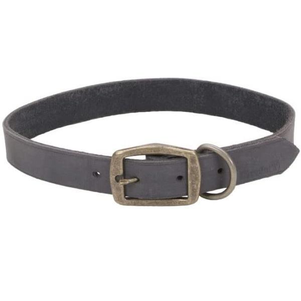 Нашийник для собак Coastal Rustic шкіряний 2,5х55 см Сірий