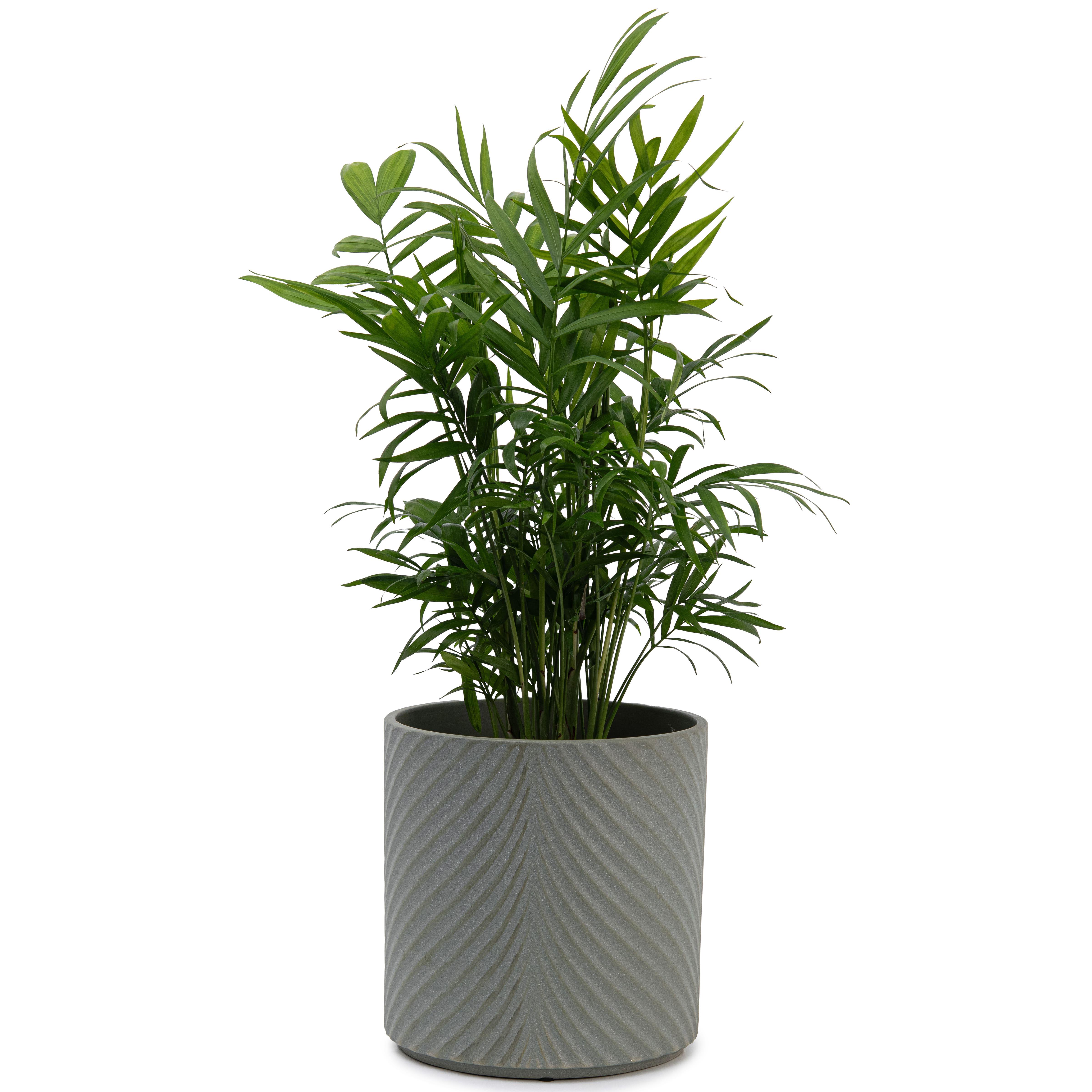 Набор кашпо для цветов керамические elemi Листок круглый 1,3 л/2,3 л/4,5 л Темно-зеленый (УТ-00094682) - фото 10