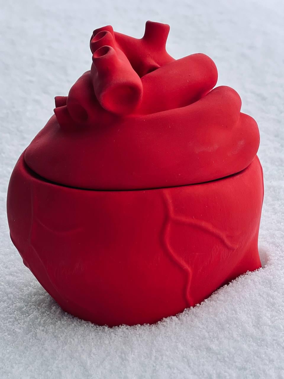 Свеча в гипсовом кашпо Анатомическое сердце соевая ароматическая Красный (11111)
