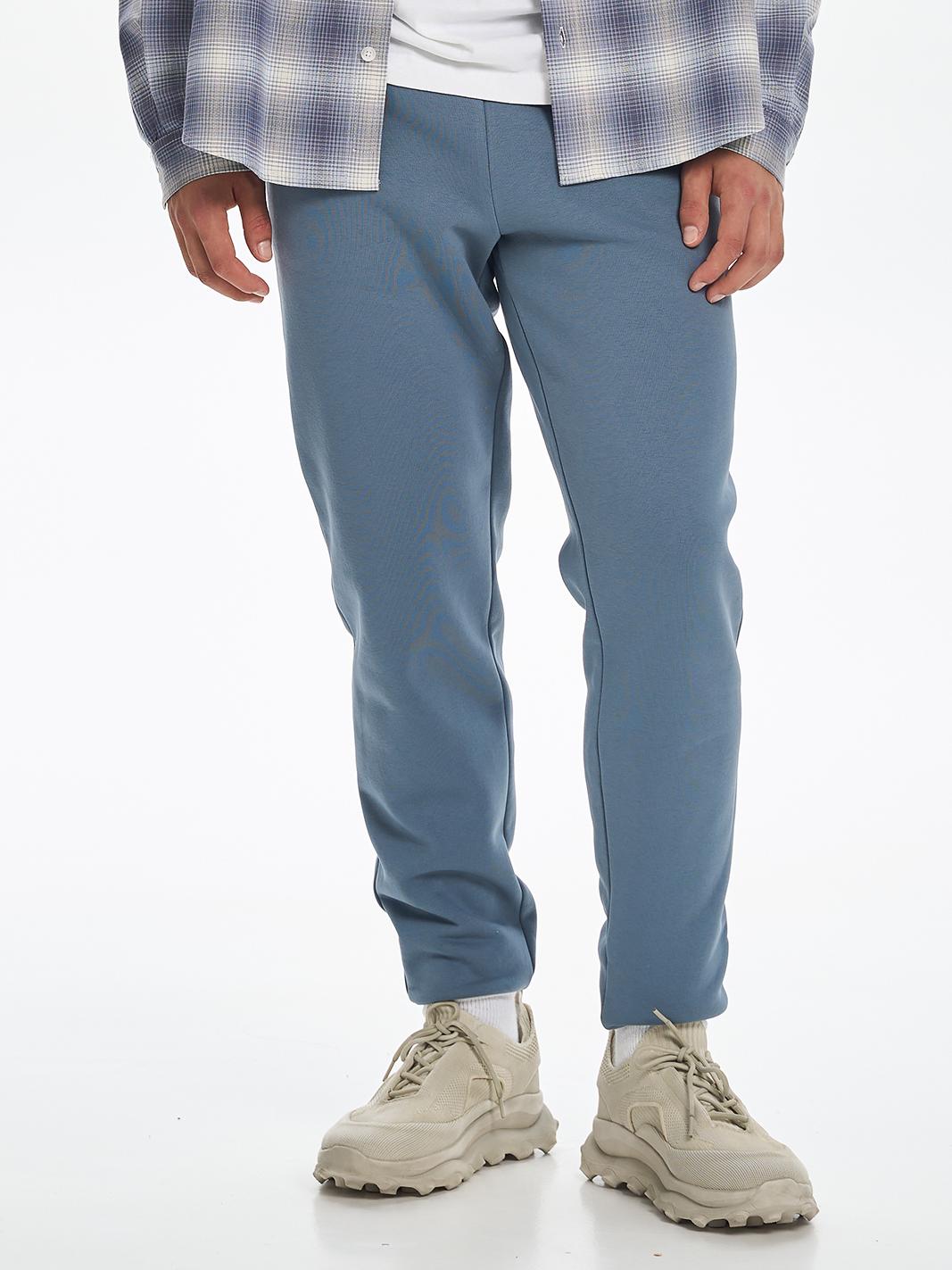 Штаны мужские утепленные с манжетами ROZA 210549 M Выдержанный серый (4824005711497)