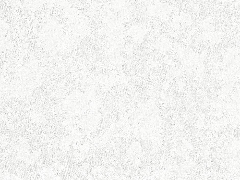 Обои флизелиновые LeGrand Platinum Спирея-2 1553-03 Декор винил горячего тиснения 1,06х10,05 м Белый Обои флизелиновые LeGrand Platinum Спирея-2 1553-03 Декор винил горячего тиснения 1,06х10,05 м Белый