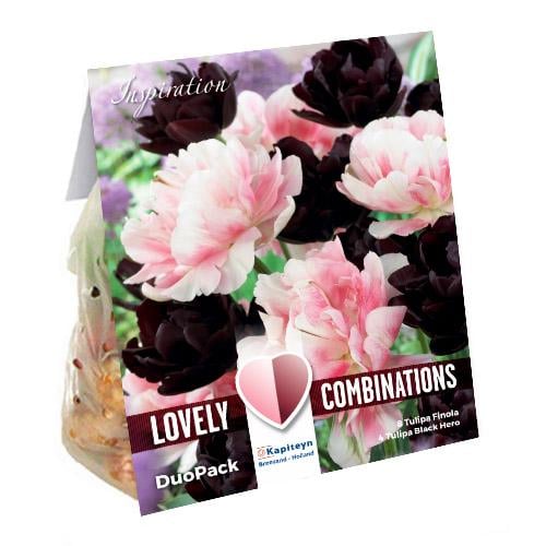 Комбо тюльпаны Florium Duopack Double Black and Pink брендовые луковицы Kapiteyn (15242)