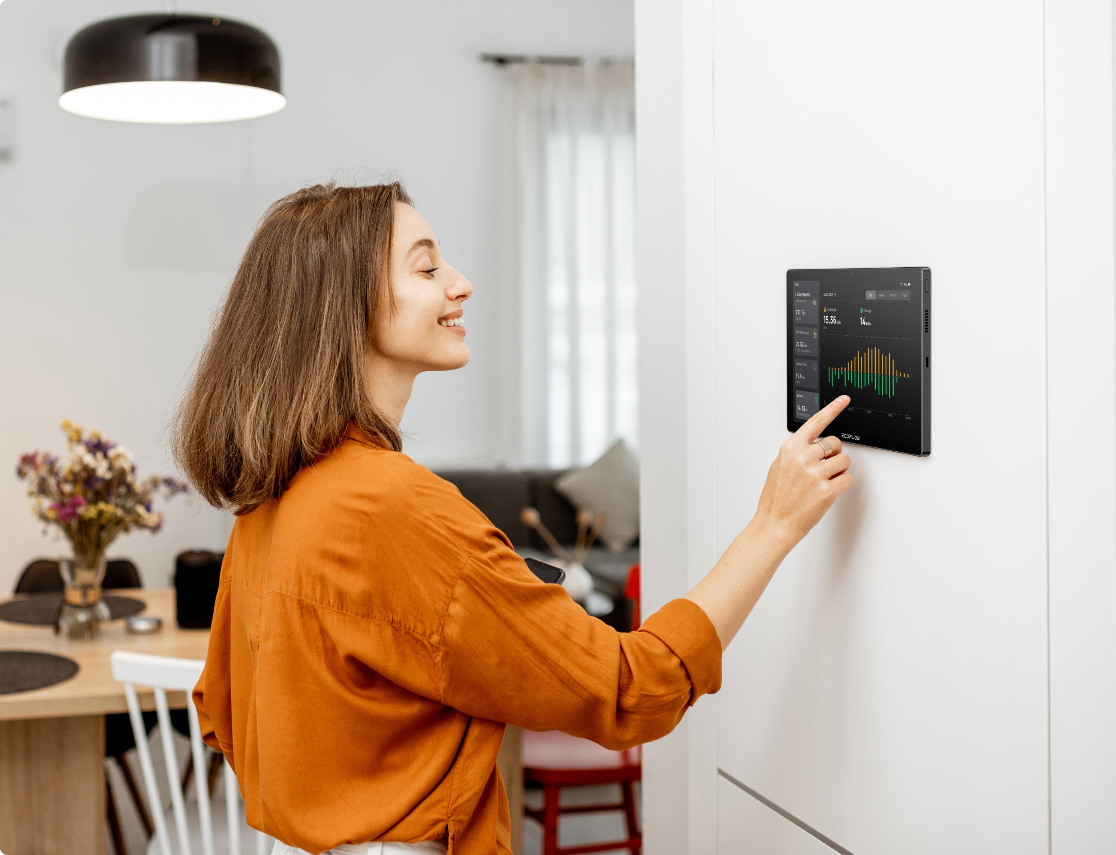 Система розумного будинку EcoFlow PowerInsight (27457261) - фото 2