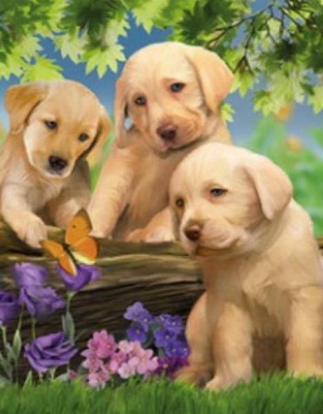 Картина по номерам Josef Otten Животные Щенки 40х50 см в термопакете (8467RSB_O-mt)