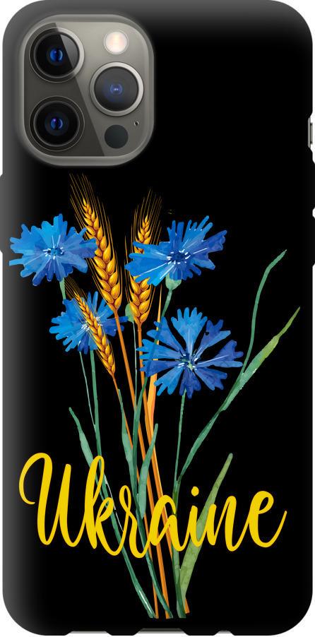 Чехол на iPhone 12 Pro Max Ukraine v2 (5445b-2054-42517) Чехол на iPhone 12 Pro Max Ukraine v2 (5445b-2054-42517)