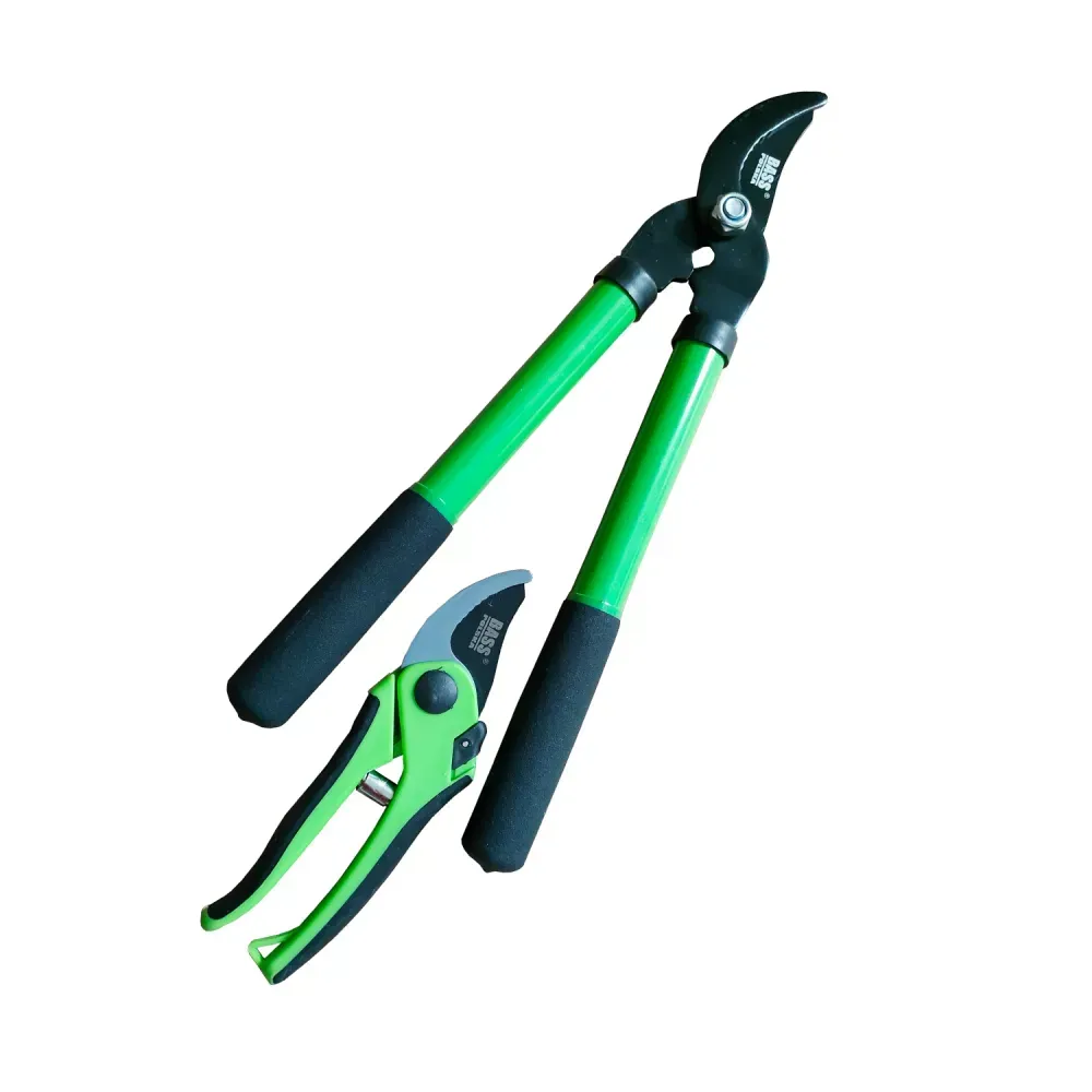 Набір садових інструментів для обрізки Bass Polska 8886 секатор і сучкоріз Зелений