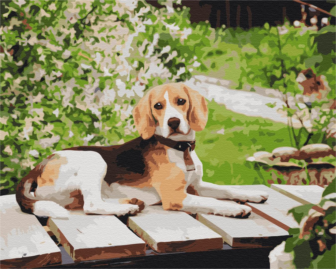 Картина по номерам Brushme Длинноухий друг 40x50 см (BS52630)