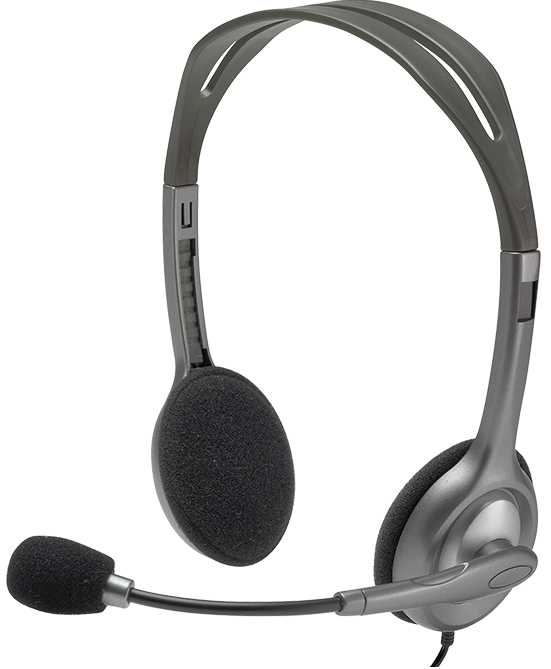 Гарнитура Logitech Stereo Headset H110 (5747279)