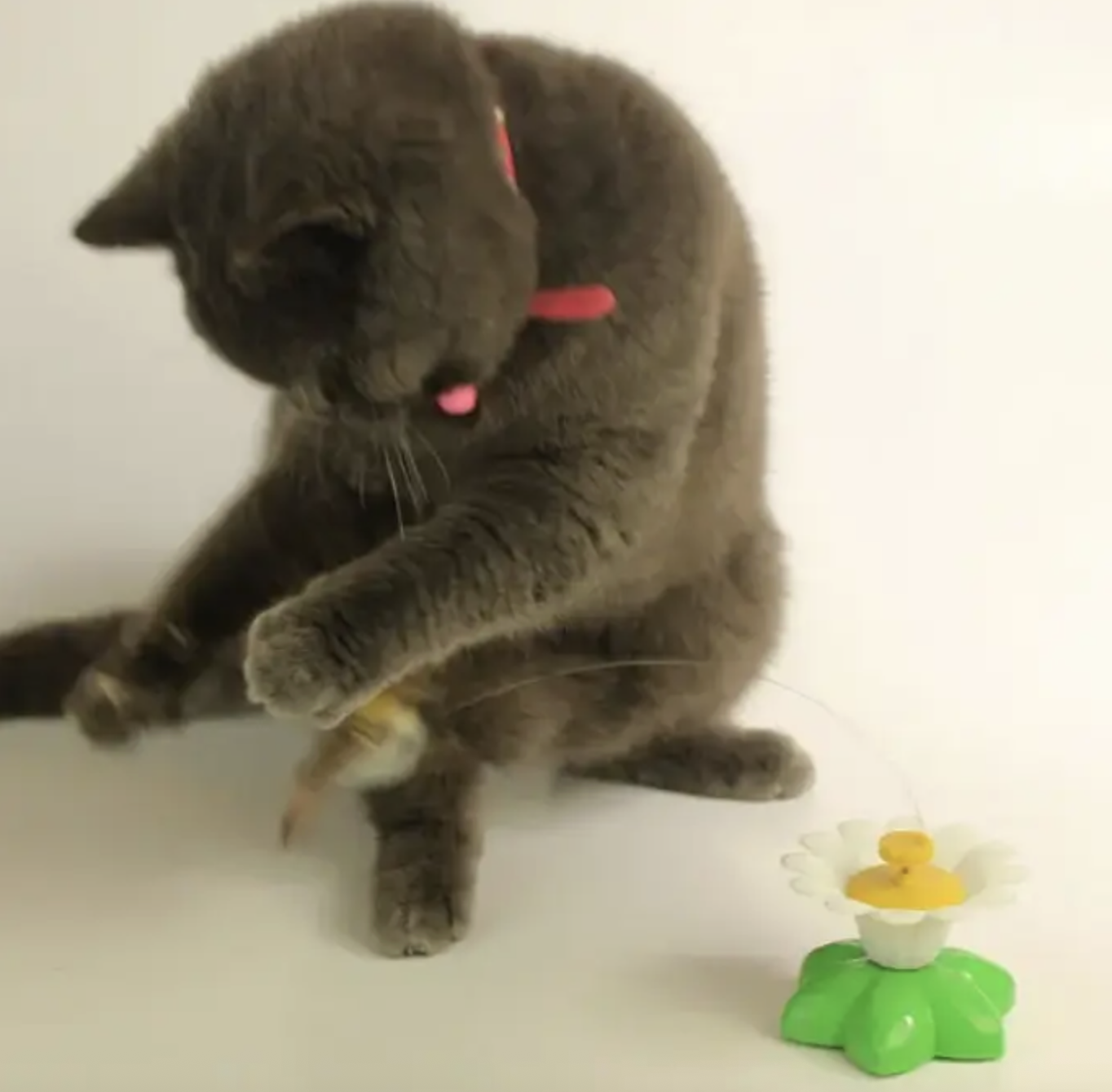 Іграшка для котів з автоматичним обертовим дротом - фото 4