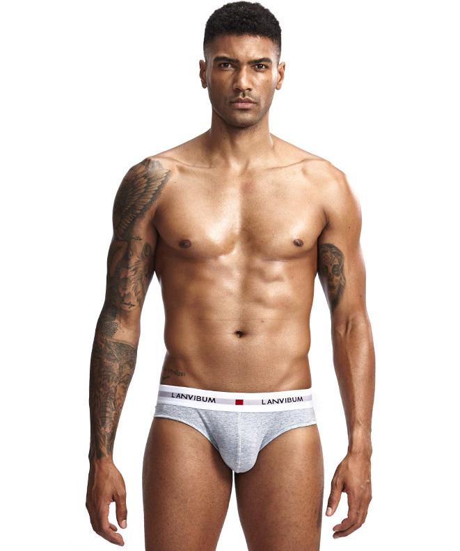 Трусы Lanvibum M Серый (5542)