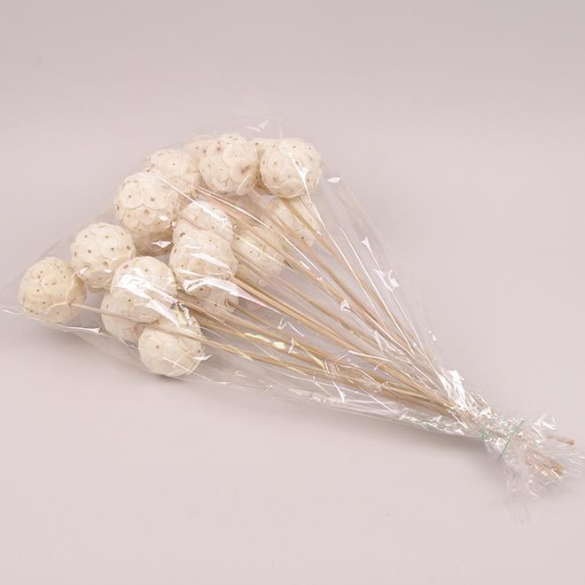 Сухоцвет Flora Шарики на пике Tip Ball (69848)