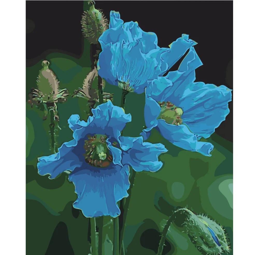 Картина по номерам Strateg Гималайские маки 40x50 см (SY6470)