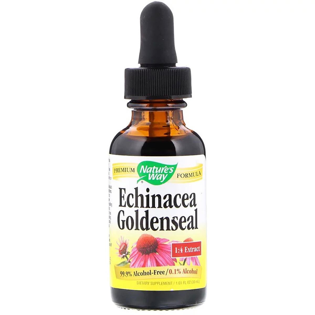 Ехінацея і гідрастіс Nature's Way Echinacea Goldenseal без спирту 30 мл (NWY14663)