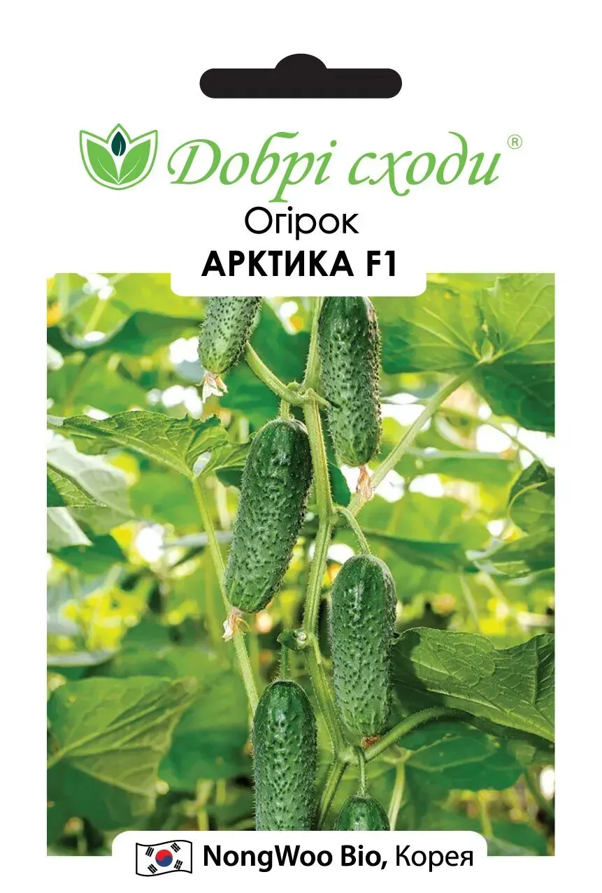 Насіння огірків Арктика F1 (2236)
