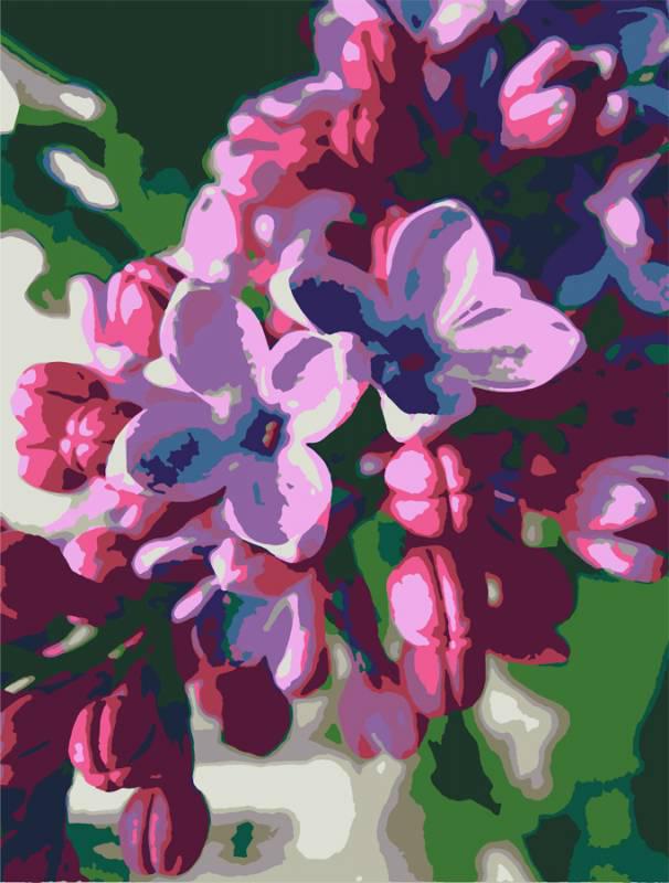 Картина по номерам Rosa Сирень 35х45 см (Az-210817)