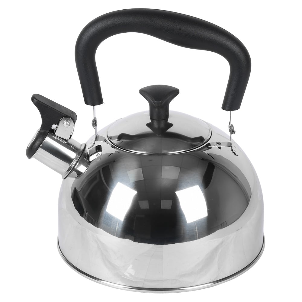 Чайник с свистком Kettle B6 2 л (30442)