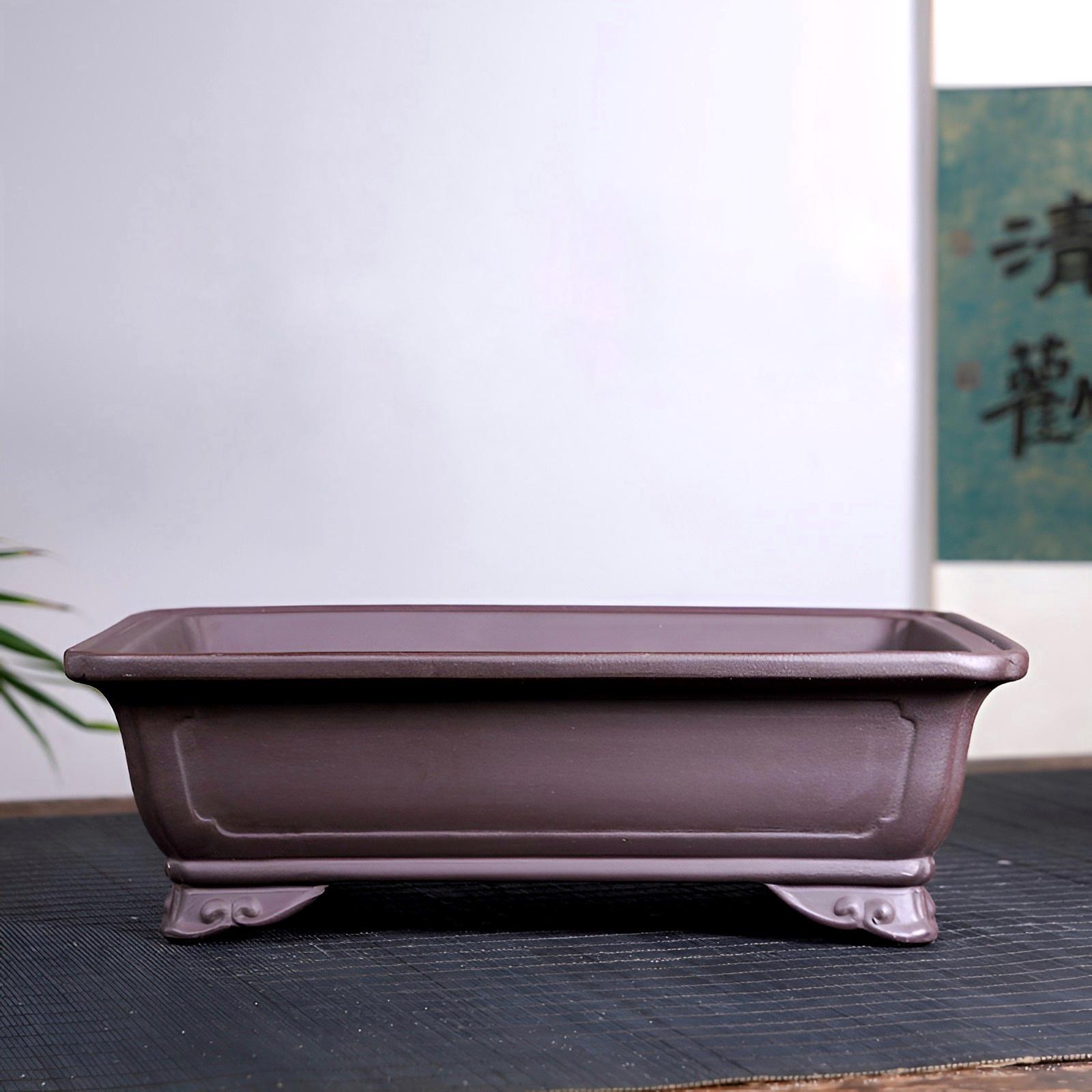 Бонсайниця прямокутна на ніжках