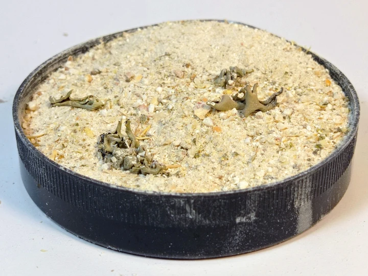 Корм натуральный Буся Snail для лесных и виноградных улиток протеиново-кальциевый 600 мл/400 г (2421325852) - фото 3