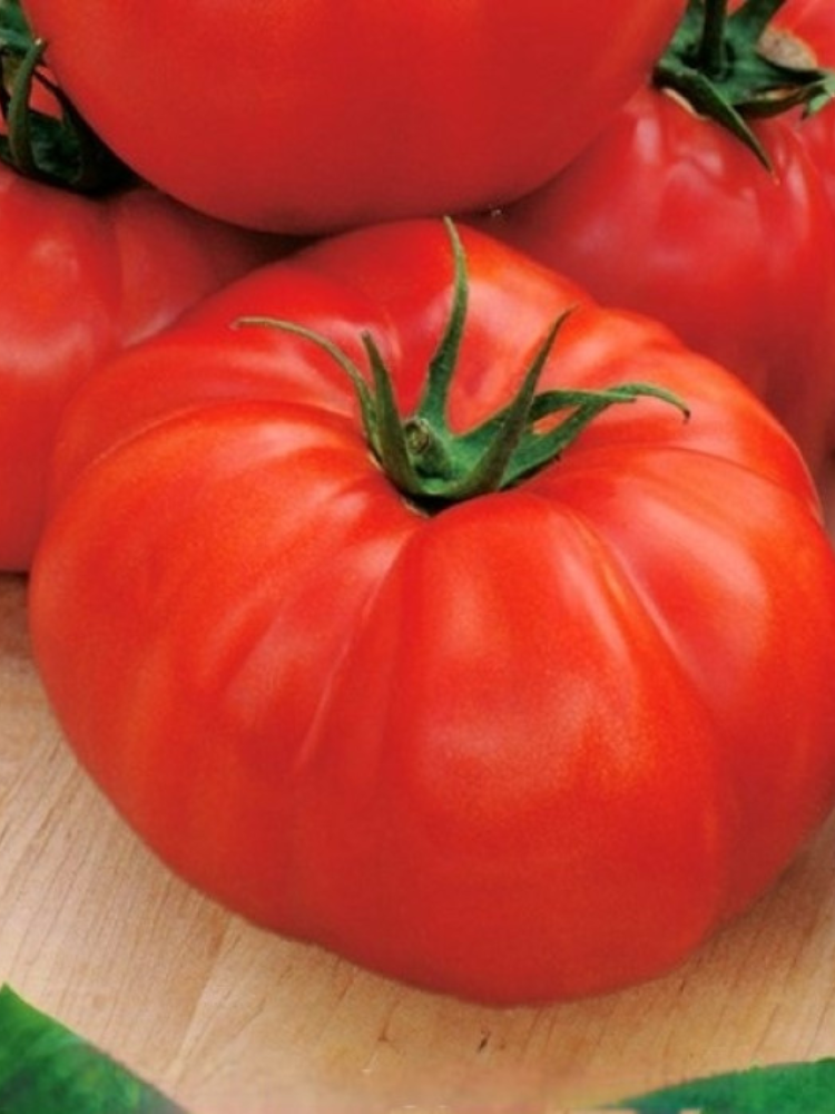 Семена Томат GL Seeds Сент Пьер 0,1 г (389) Семена Томат GL Seeds Сент Пьер 0,1 г (389)