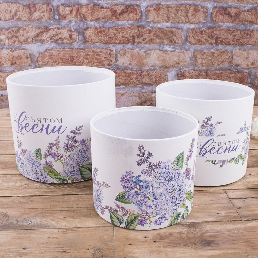 Набор коробок без крышки с рисунком 3 шт. (4215-2)