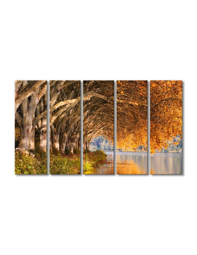 Картина модульная Пейзаж осенние деревья над рекой 5 модулей 120x180 см