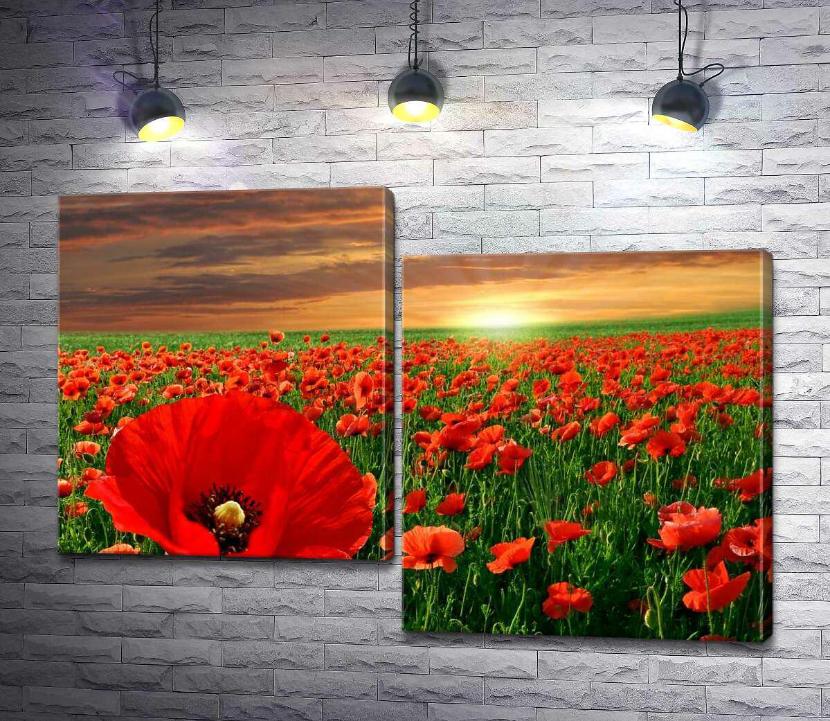 Модульная картина ArtPoster Пламенные маки светятся в солнечных лучах 100x70 см Модуль №5 (000225)