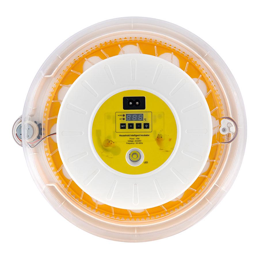 Инкубатор автоматический WQ-XR18 18 куриных яиц (286828)