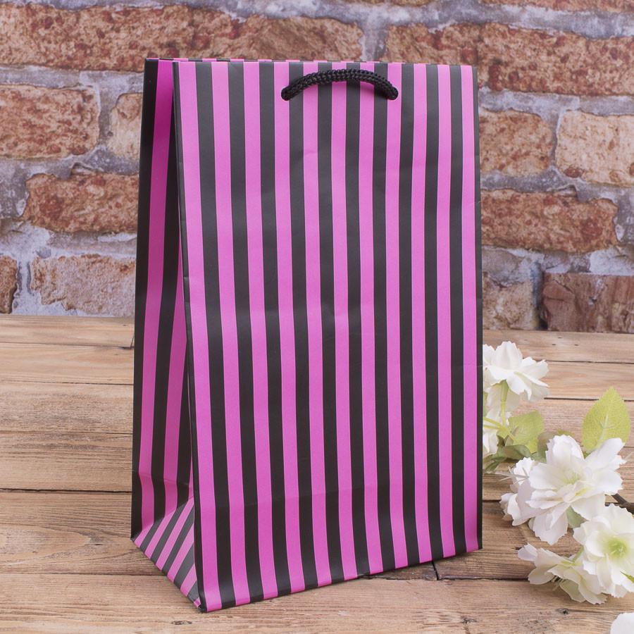 Пакет TM-70 Полоска 23х15х8 см (4685-tm-70)