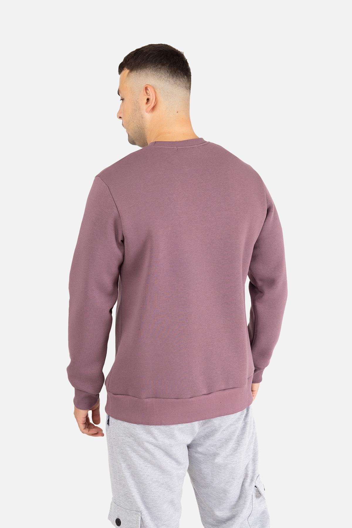 Свитшот мужской ЦБ-00254623 р. 50 Фиолетовый (SKT001004974) - фото 3 Свитшот мужской ЦБ-00254623 р. 50 Фиолетовый (SKT001004974) - фото 3
