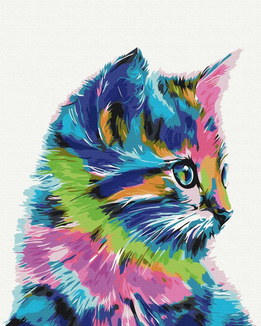 Картина по номерам Brushme Котик в краске 48x60 см (BS28359L)
