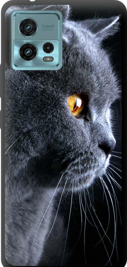 Чехол на Motorola G72 Красивый кот (3038b-2859-42517)