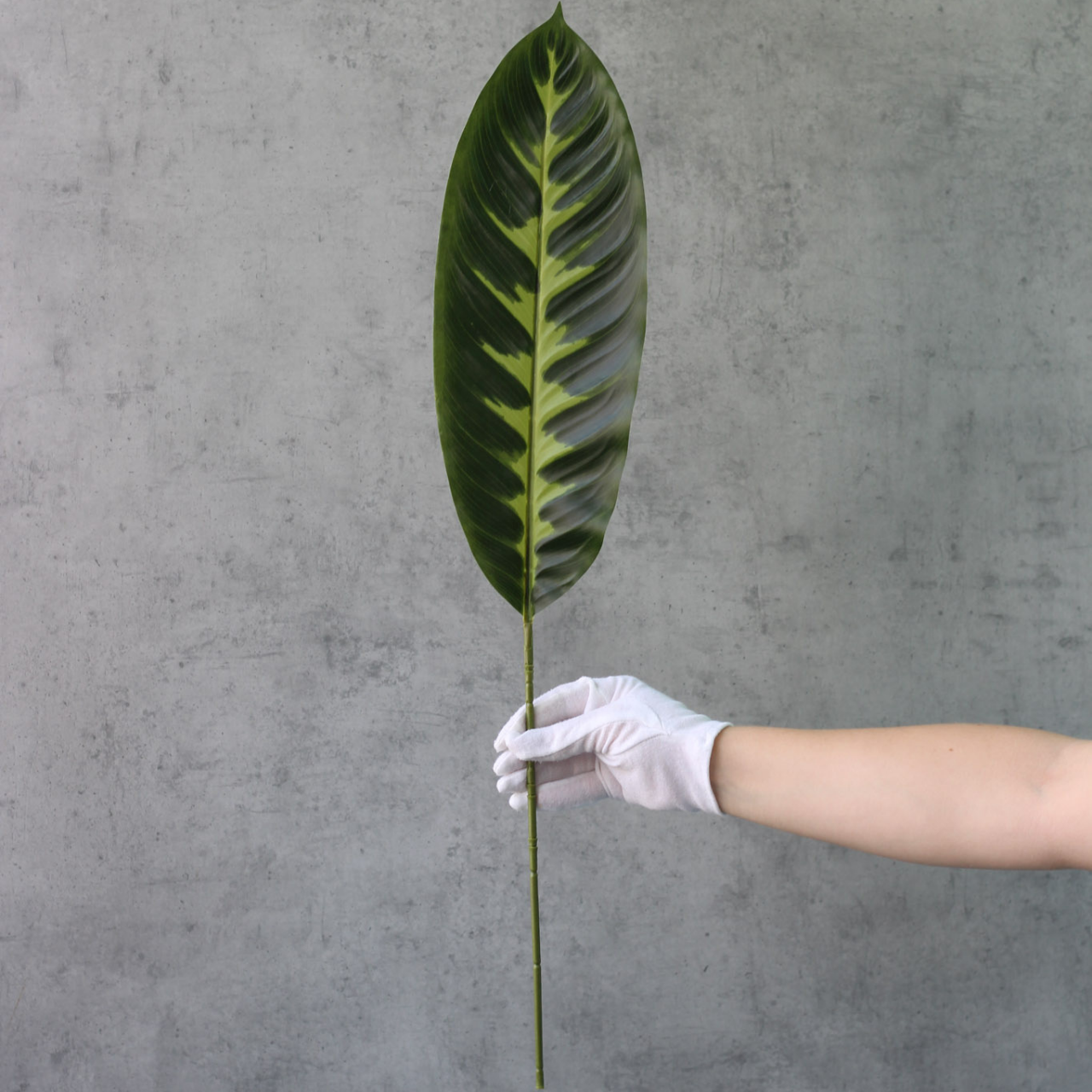 Искусственный лист латексный 70 см (1978319598)