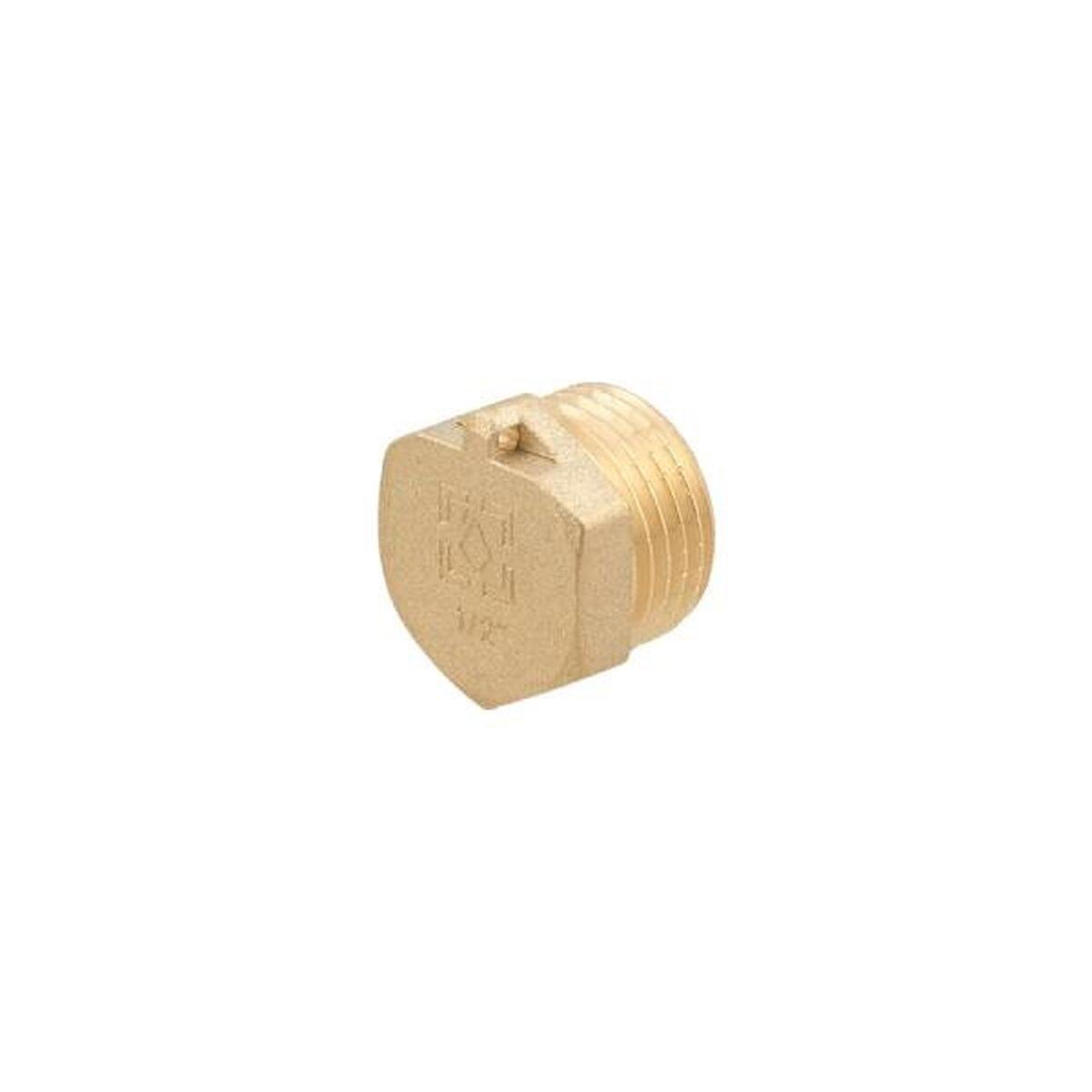 Заглушка Raftec GOLD под пломбу ЗЗ 1/2" (SW-103856)