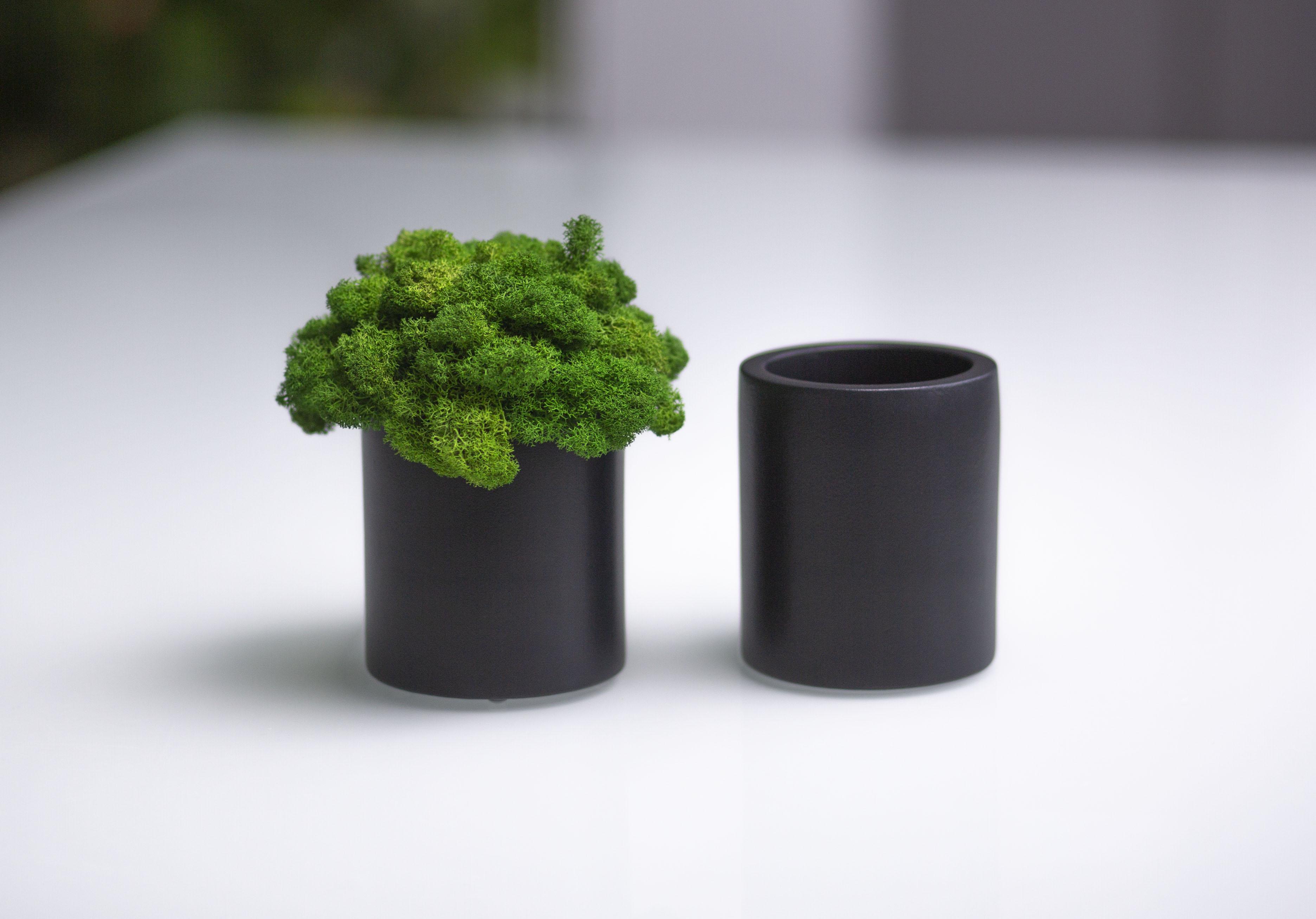 Набір підставка-органайзер для ручок/олівців/канцелярії з мохом CUTE Black