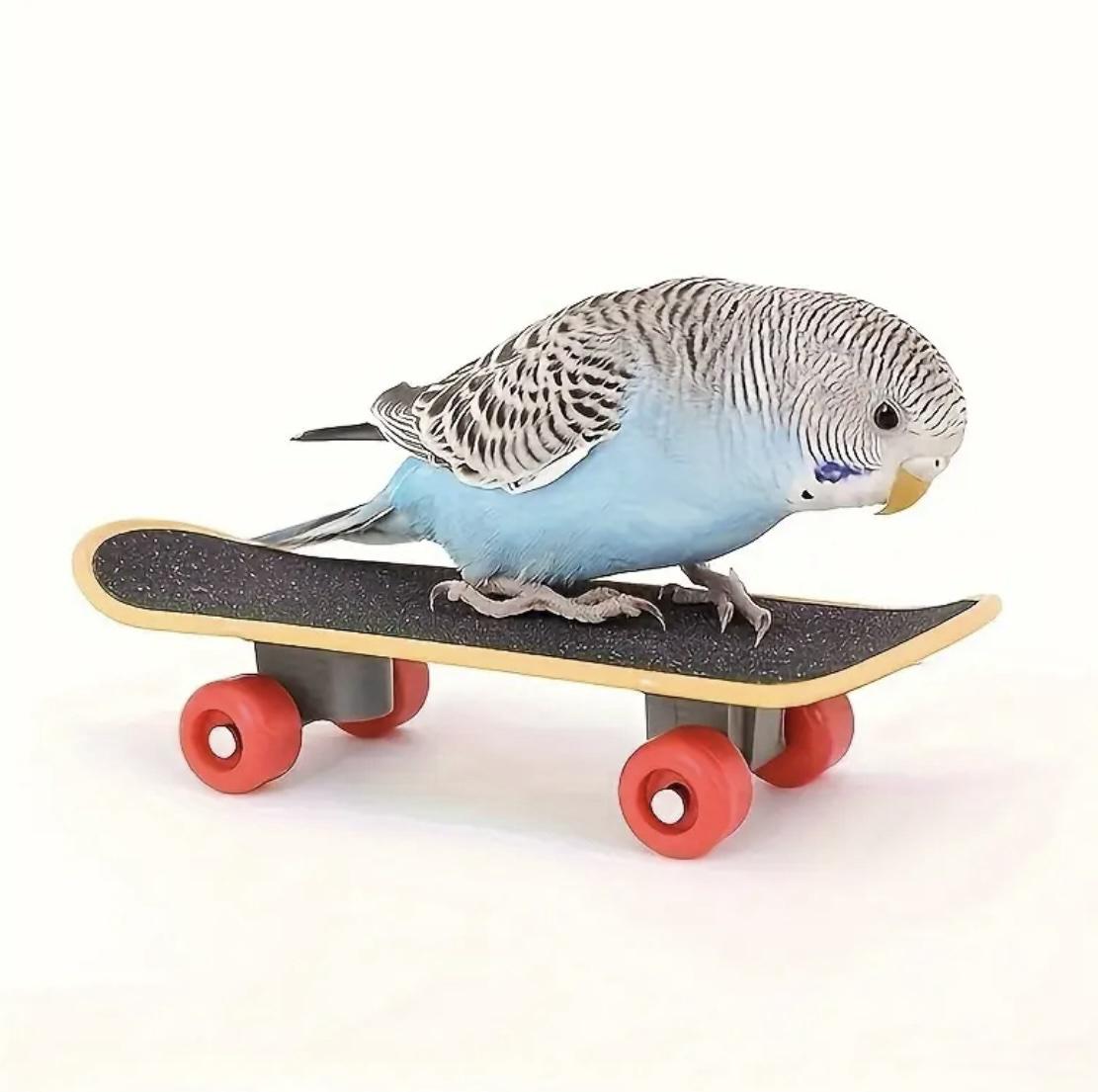 Скейт для папуг Bingo L 14х4,3х3 см Black (345634643) - фото 3 Скейт для папуг Bingo L 14х4,3х3 см Black (345634643) - фото 3