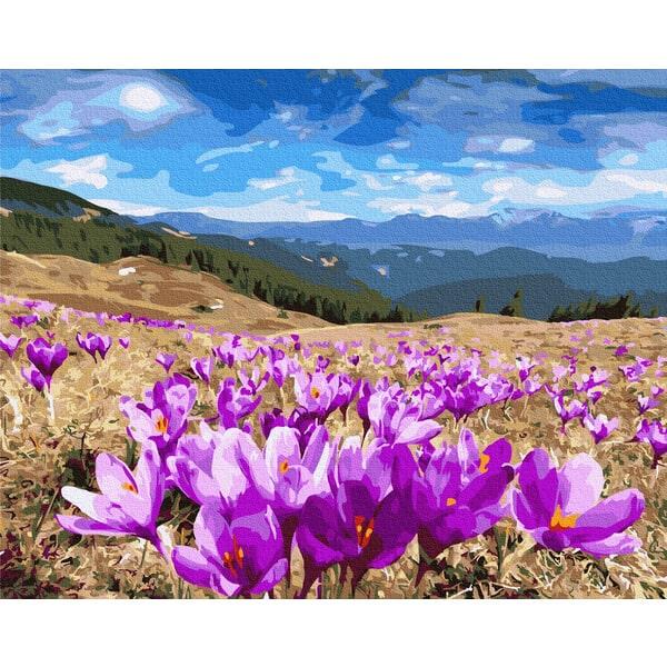 Картина по номерам Brushme GX27318 Долина крокусов 40x50 см (1368254046)
