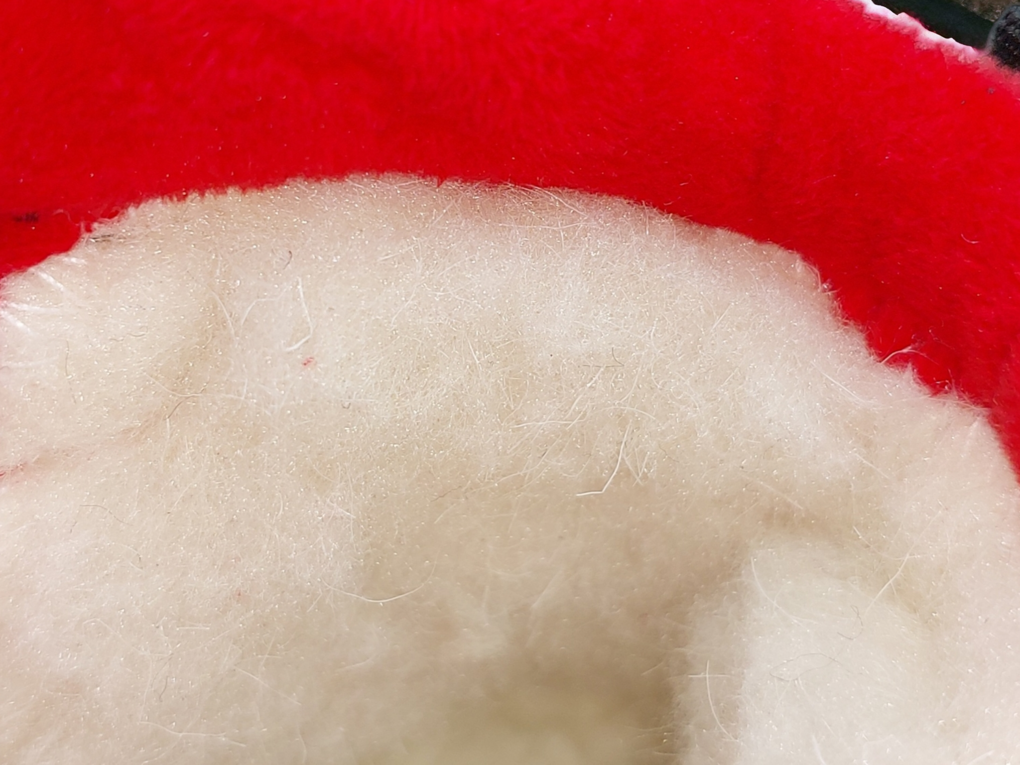 Черевики зимові Clibee р. 26 Black (арт.353BR) - фото 5