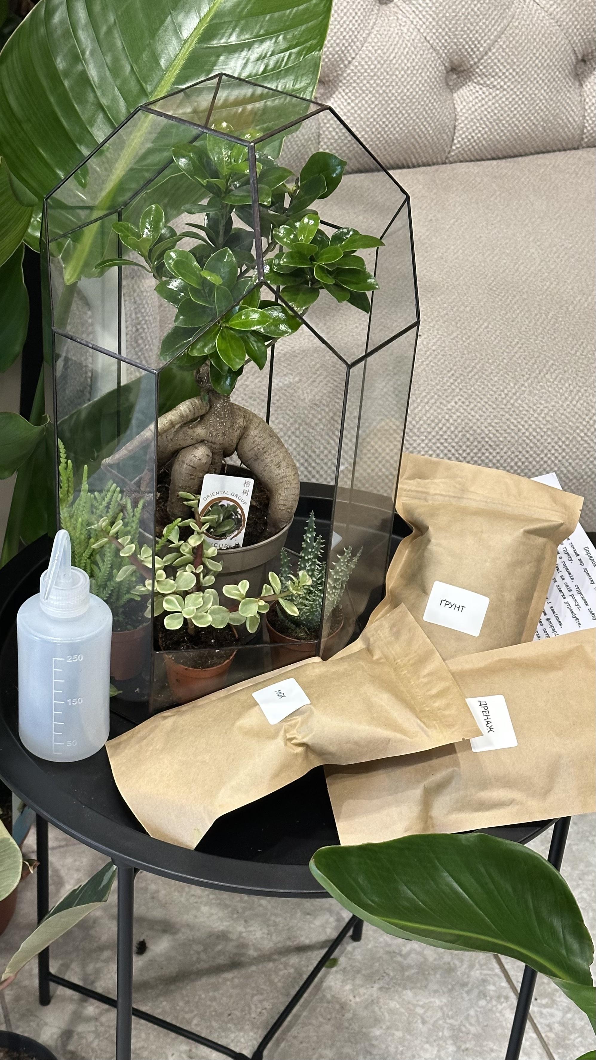 Набір для створення флораріуму Могутня башня 40 см (30075831)