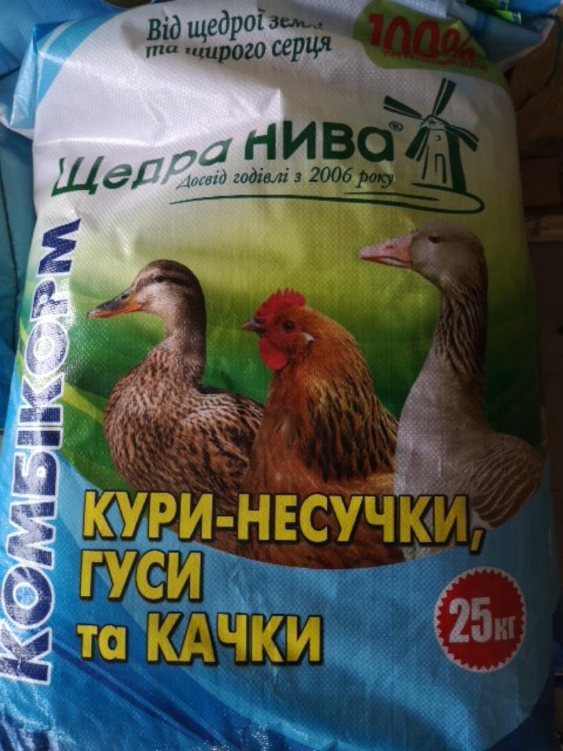 Комбікорм Щедра нива Старт Несушки ПК курей 2к 1-8 тижнів 25 кг (12194972) - фото 2