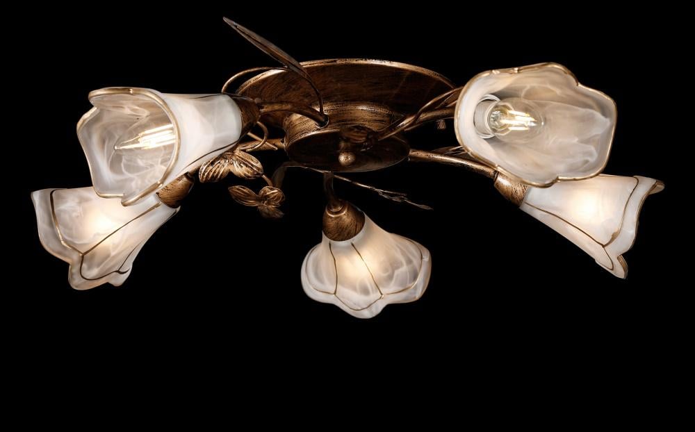 Люстра с плафонами Ray L10008/5 (IR005862)